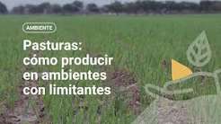 Pasturas, cómo producir en ambientes con limitantes