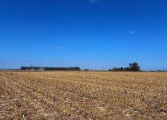 Asocian el manejo agrícola con cambios en el suelo y el carbono