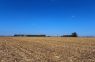 Asocian el manejo agrícola con cambios en el suelo y el carbono