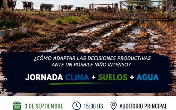 ¿Cómo adaptar las decisiones productivas ante un posible Niño intenso?