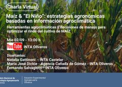 Charla Virtual – Maíz & El Niño: estrategias agronómicas basadas en información agroclimática